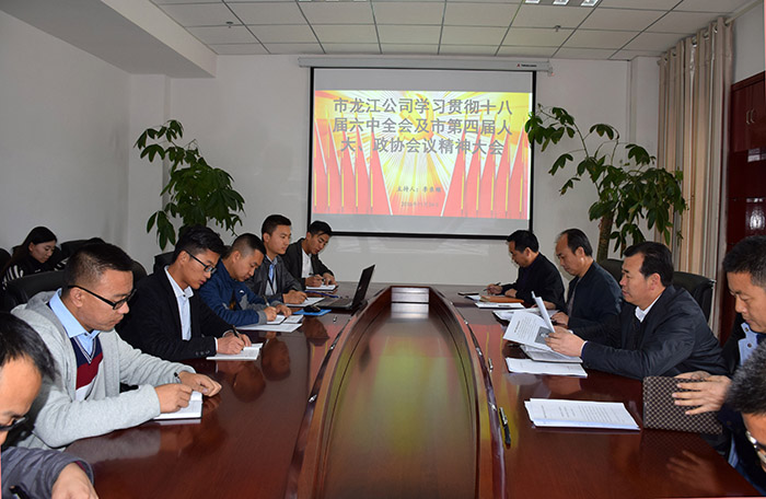 市龍江公司召開全體員工大會(huì)，專題傳達(dá)學(xué)習(xí)上級(jí)會(huì)議精神